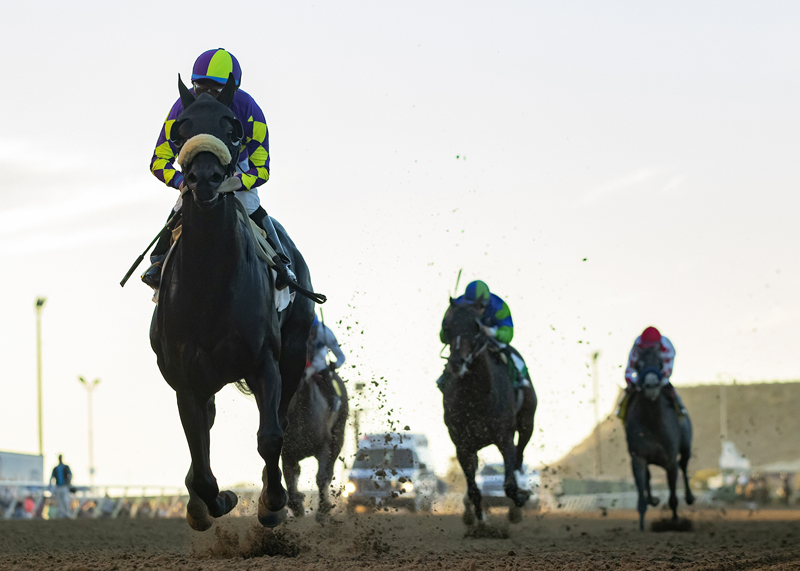 Midcourt wins the 2019 Native Diver Stakes
