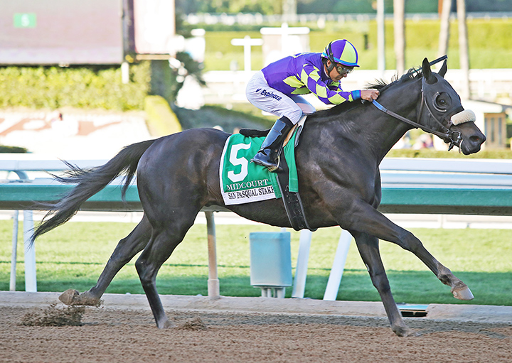 Midcourt wins the 2020 San Pasqual Stakes at Santa Anita Park