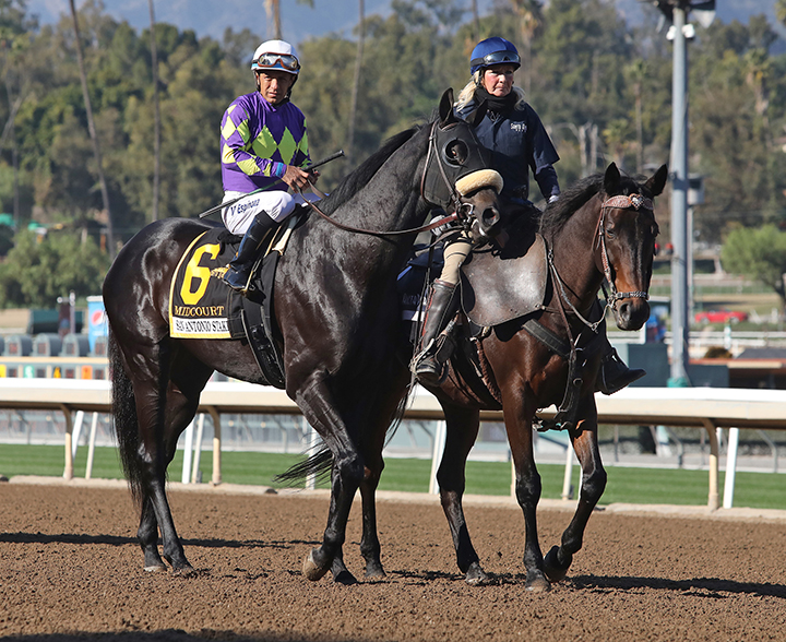 Midcourt at Santa Anita Park on Dec. 28