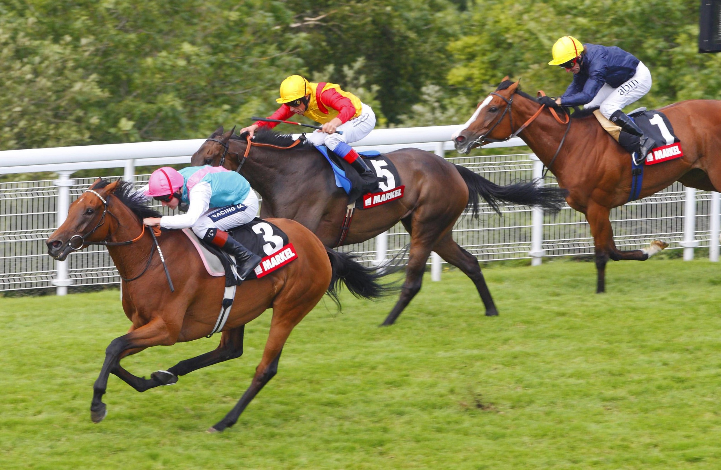 Midday, 2011 Nassau Stakes