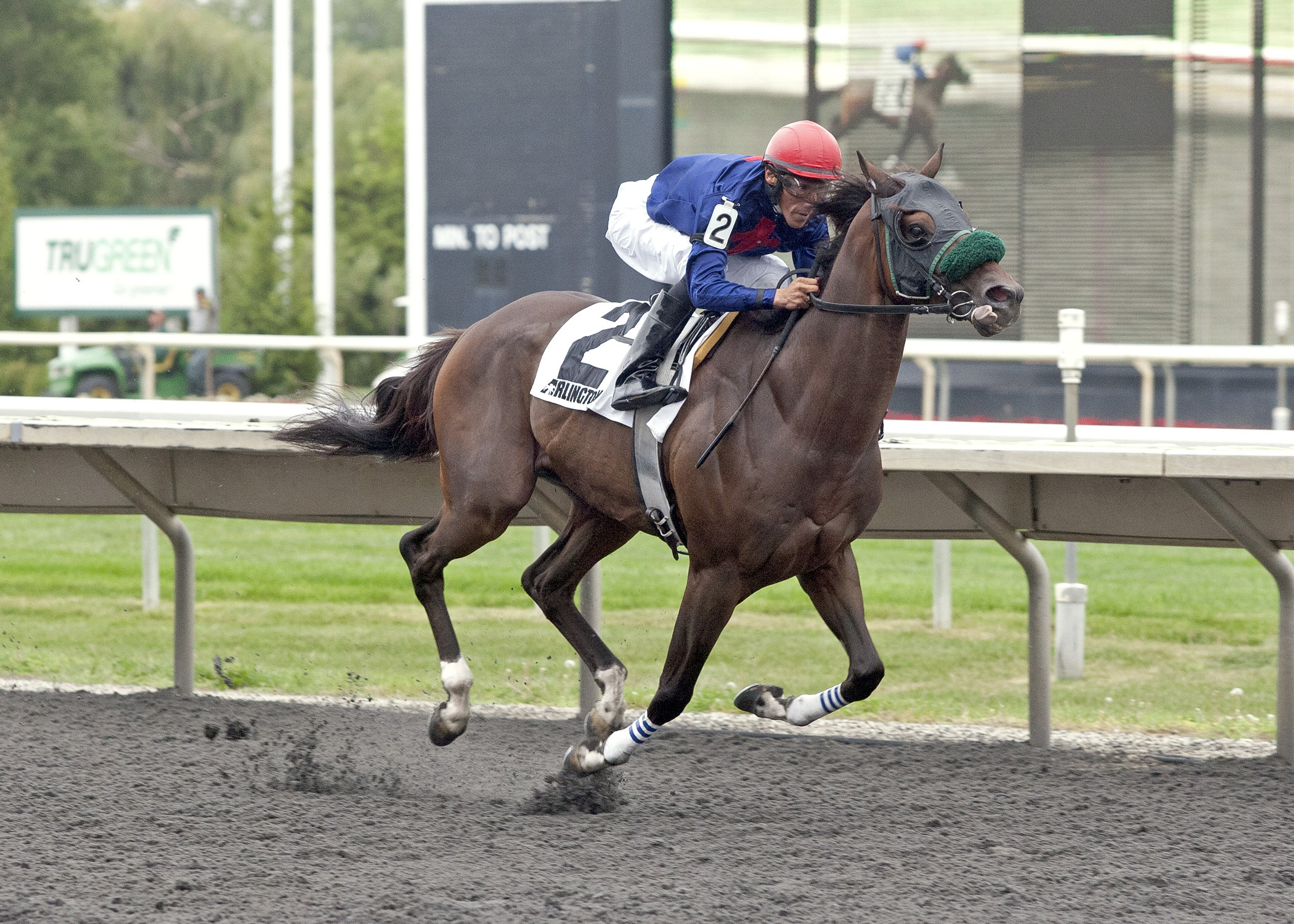 Weekend Warrior for Oct. 27: Polytrack lover Middie fits well in Fayette