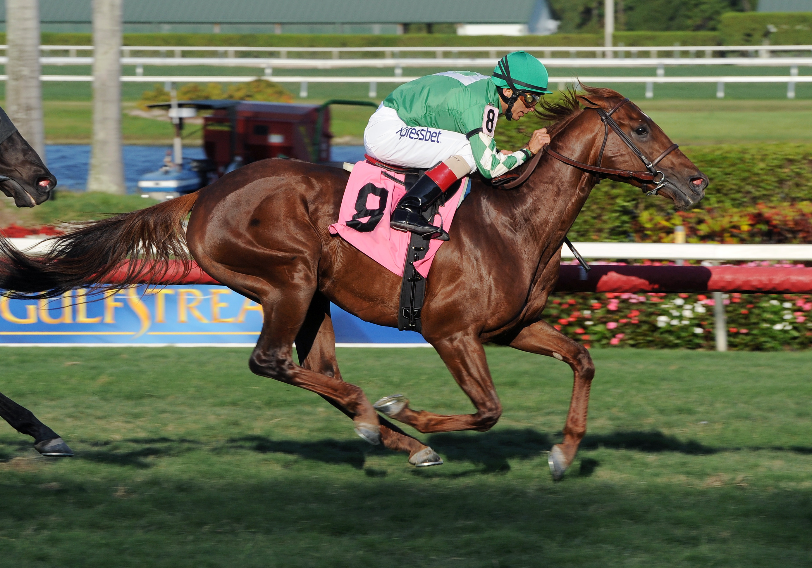 Middleburg wins an optional claimer