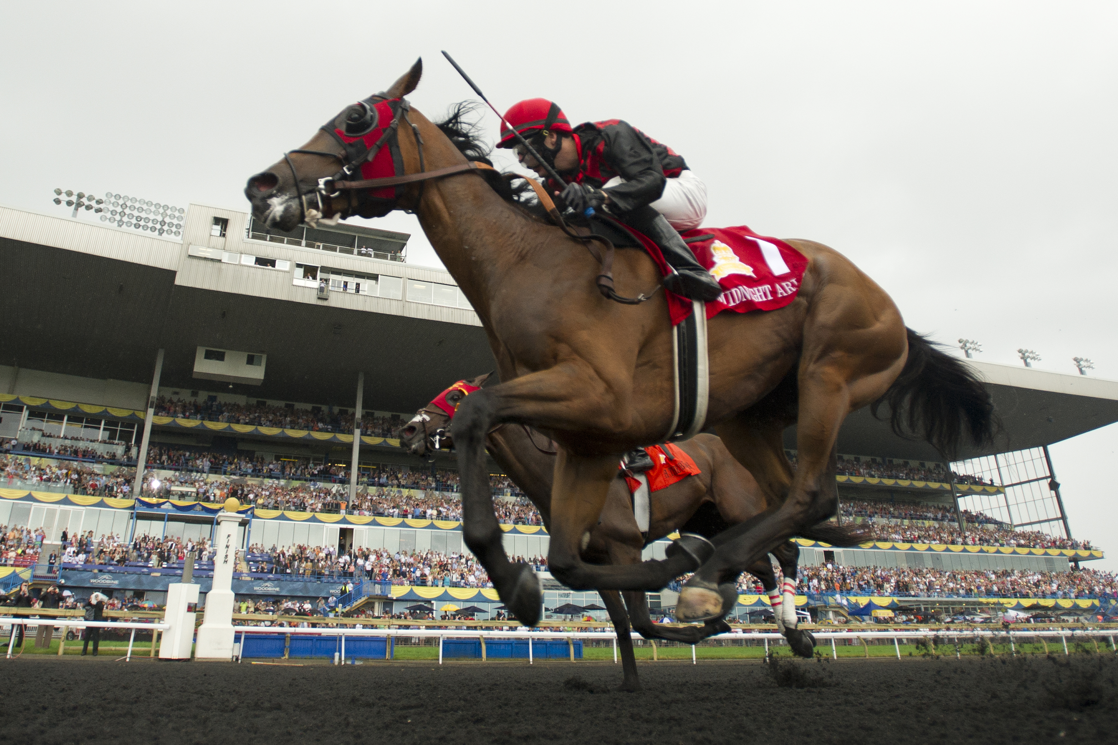 Midnight Aria wins the Queen's Plate Stakes