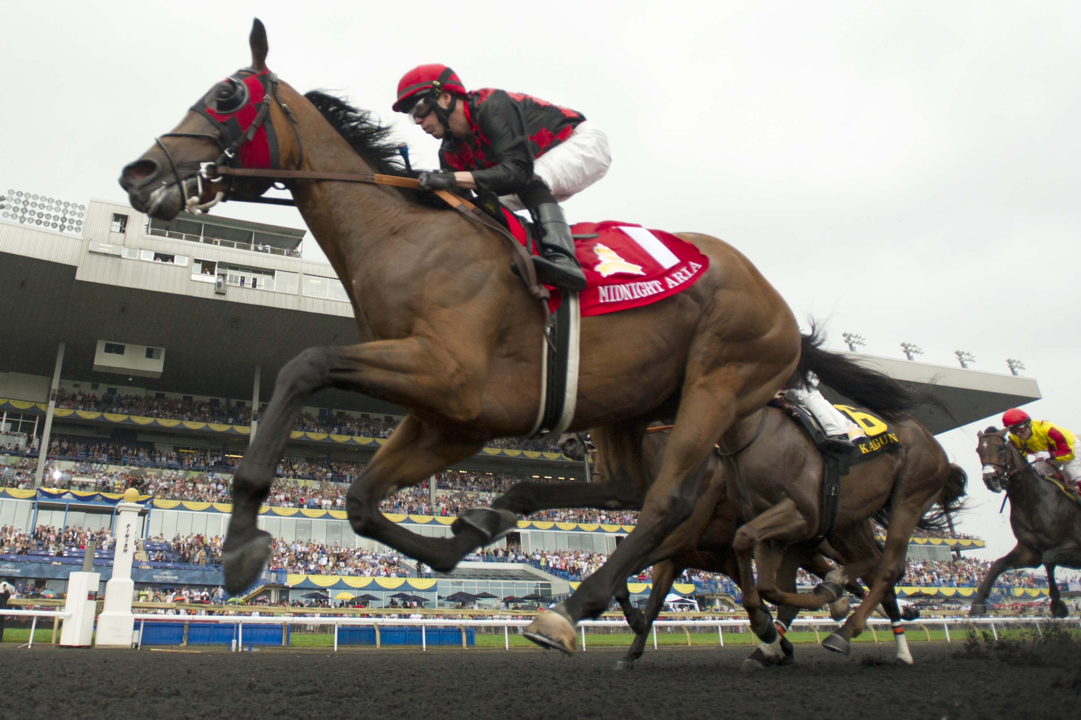 Midnight Aria Queens Plate 7-7-13