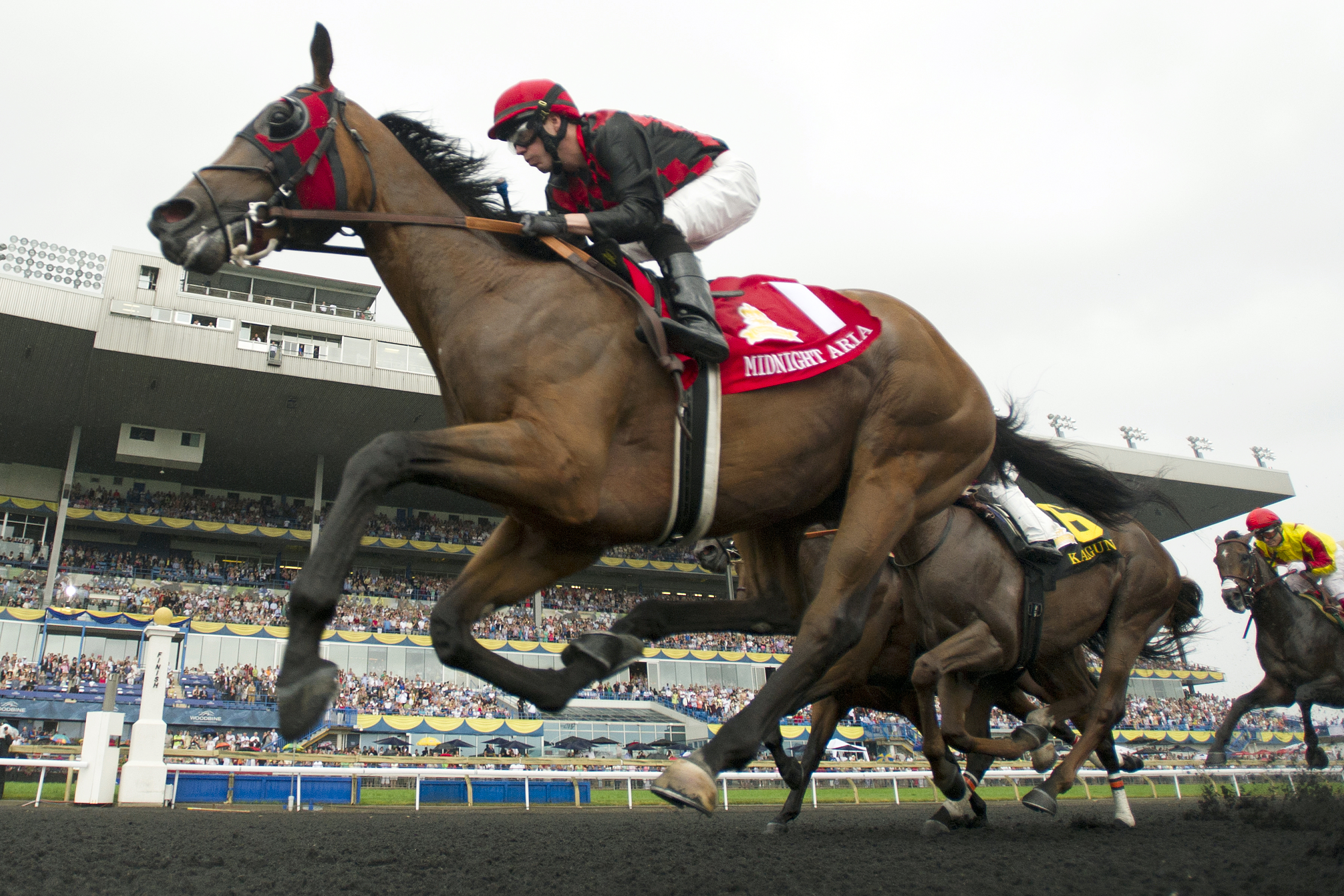 Midnight Aria wins the 2013 Queen's Plate