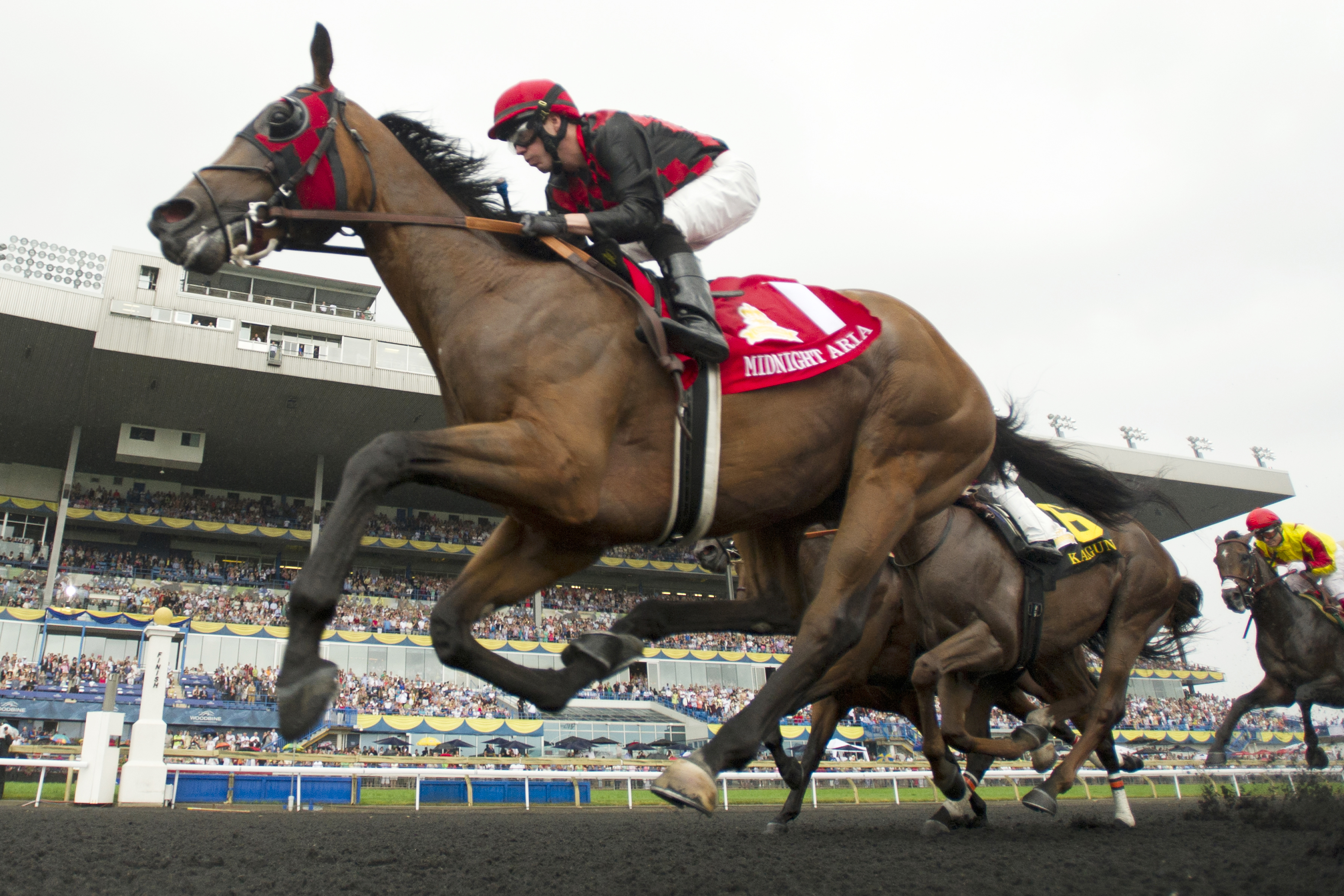 Midnight Aria wins the 2013 Queen's Plate