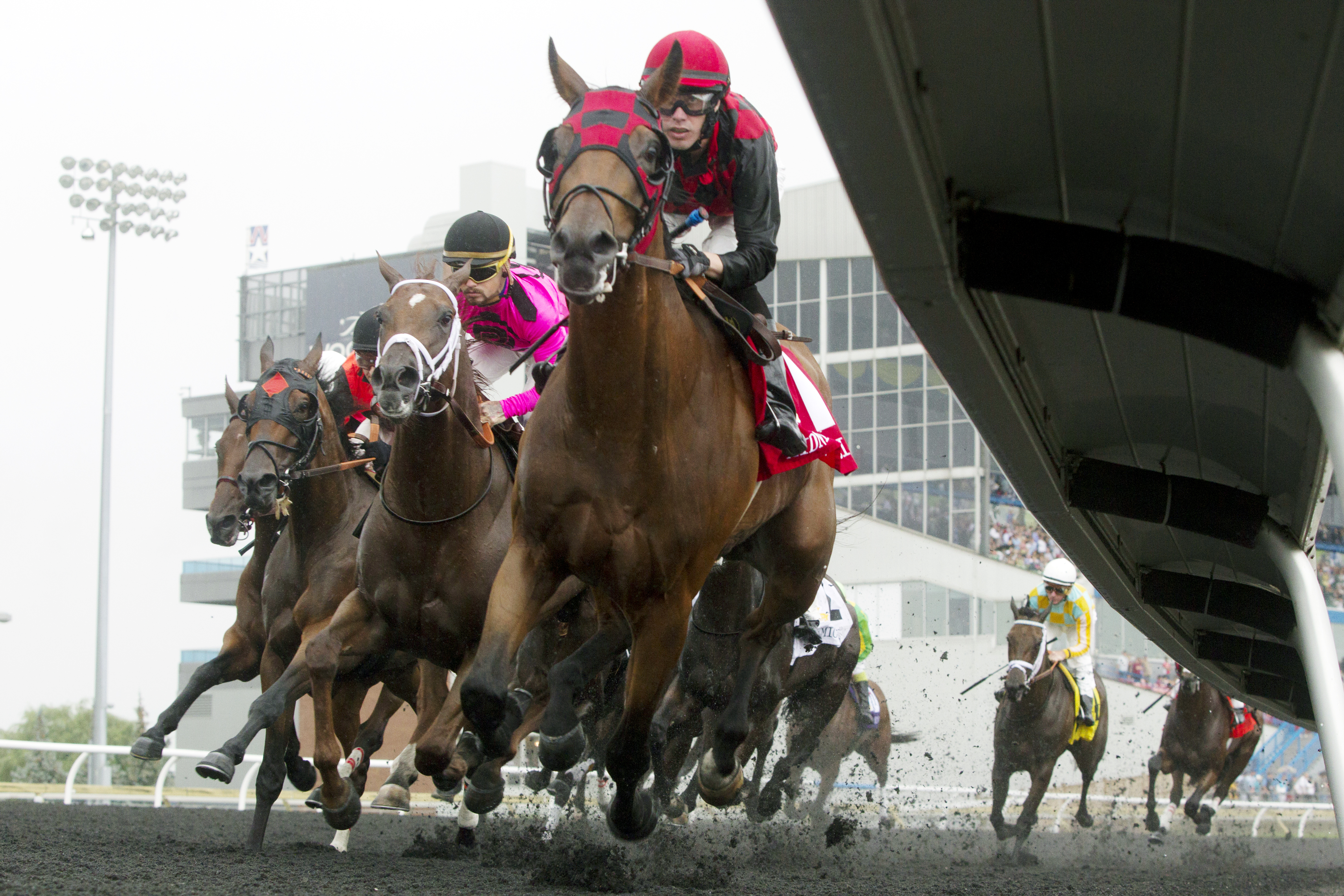 Midnight Aria wins the Queen's Plate