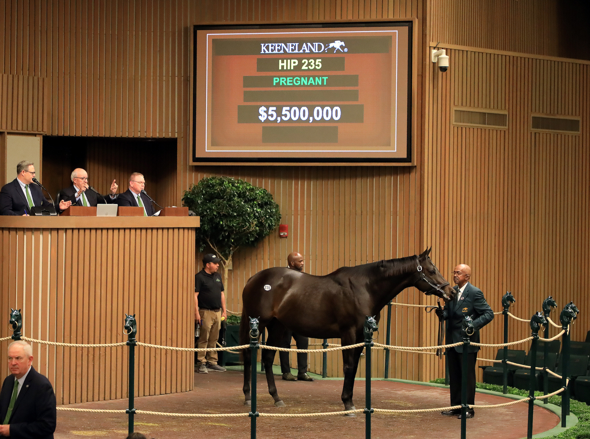 Midnight Bisou - Keeneland Sales