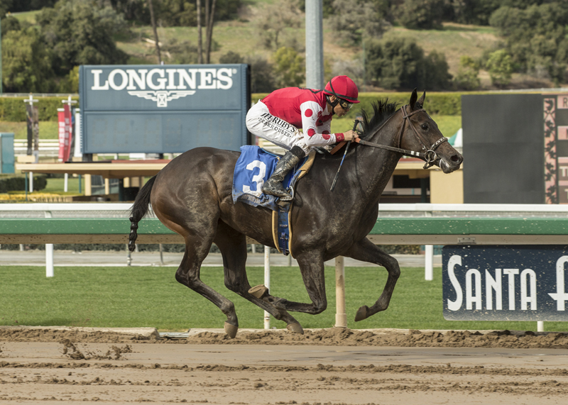 Midnight Bisou wins the 2018 Santa Ysabel Stakes
