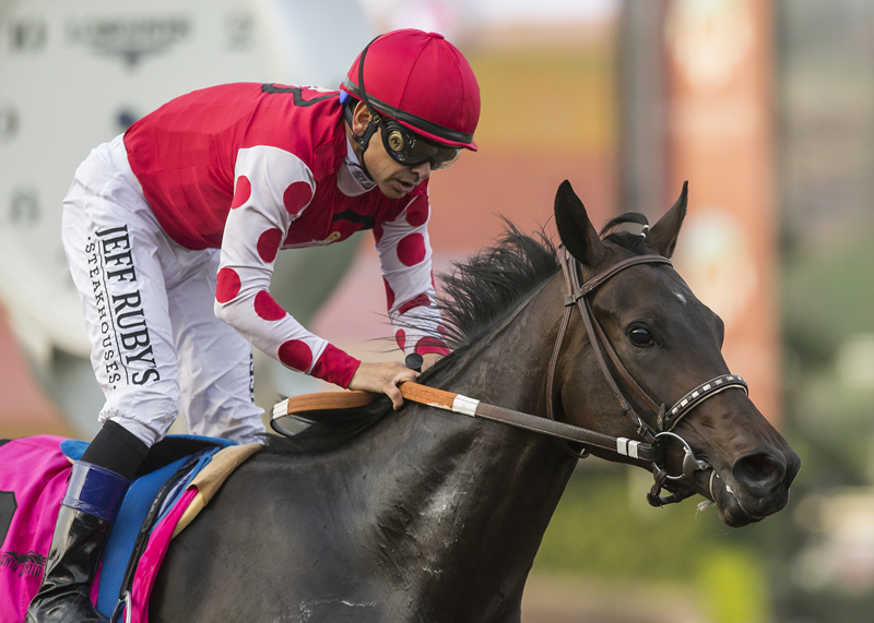Midnight Bisou wins 2017 Santa Ynez