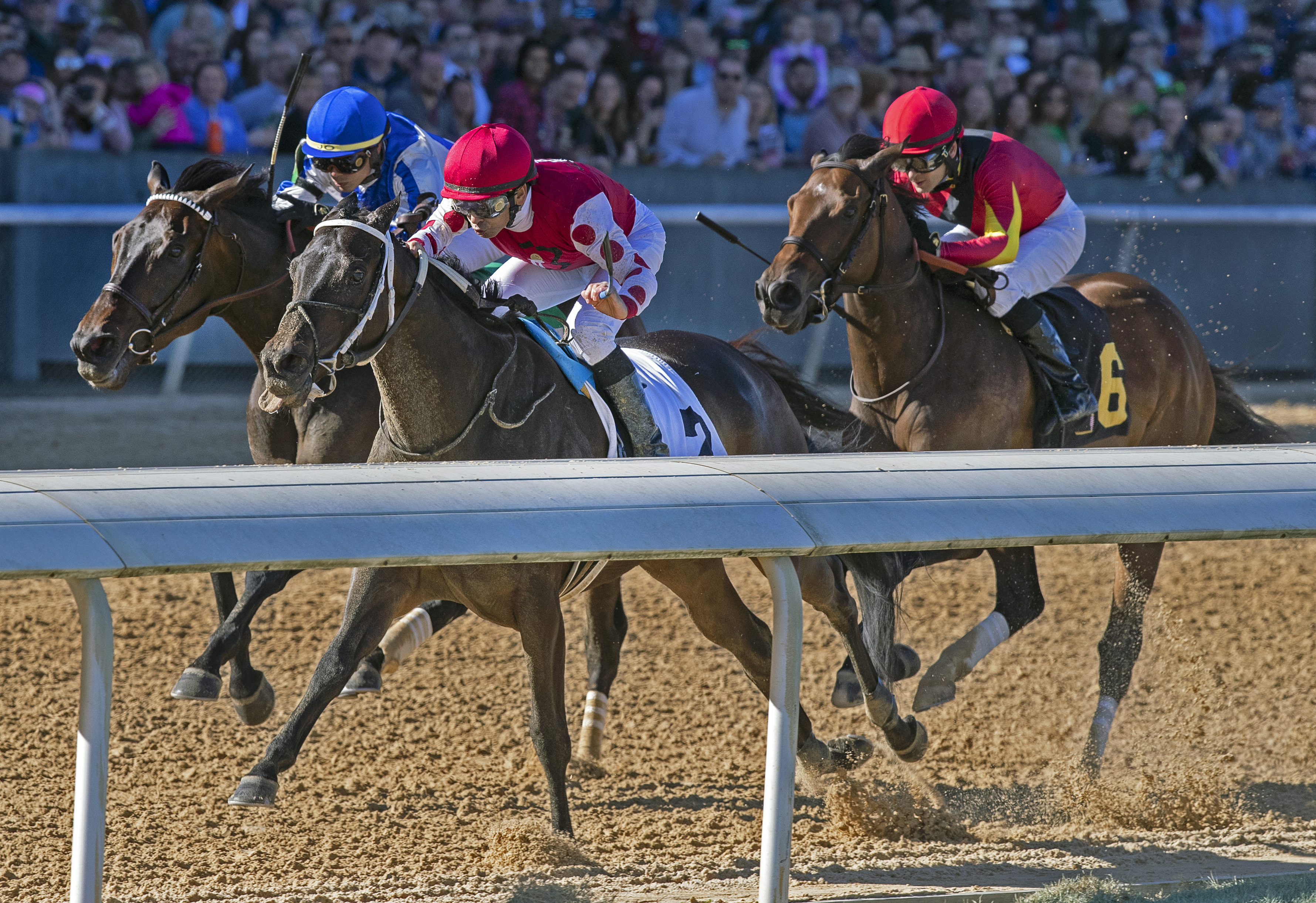 Midnight Bisou wins 2019 Azeri Stakes (Barb, 2nd)