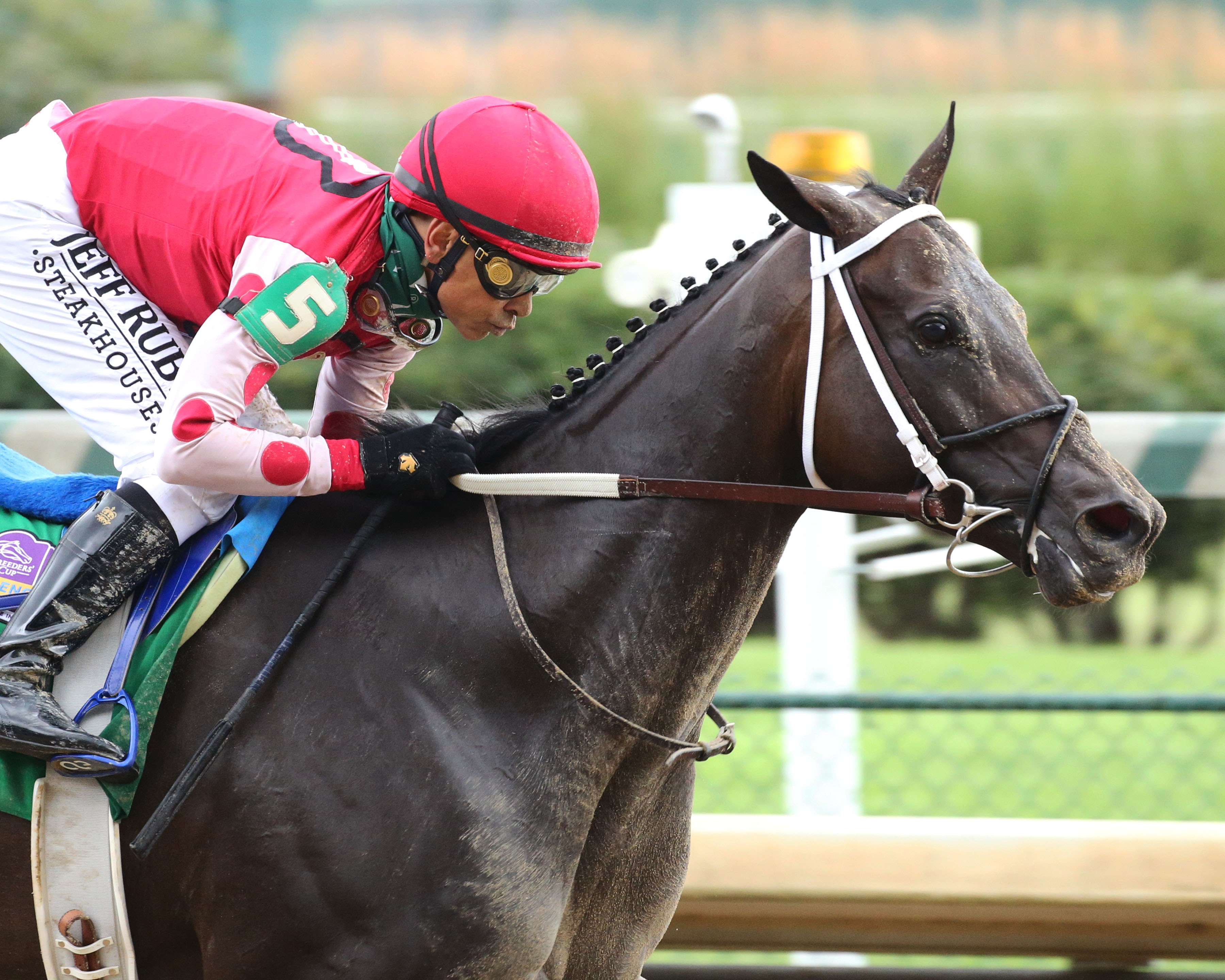 Midnight Bisou wins the Fleur de Lis under Mike Smith 6-27-2020