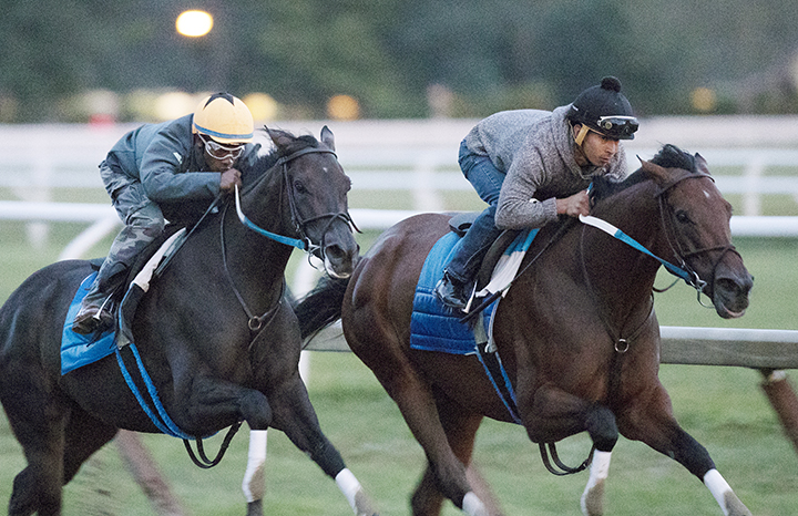 Midnight Bisou (left) and She's a Julie train at Saratoga Race Course on Aug. 12