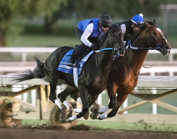 Midnight Bisou (left) works at Santa Anita Park on Oct. 21