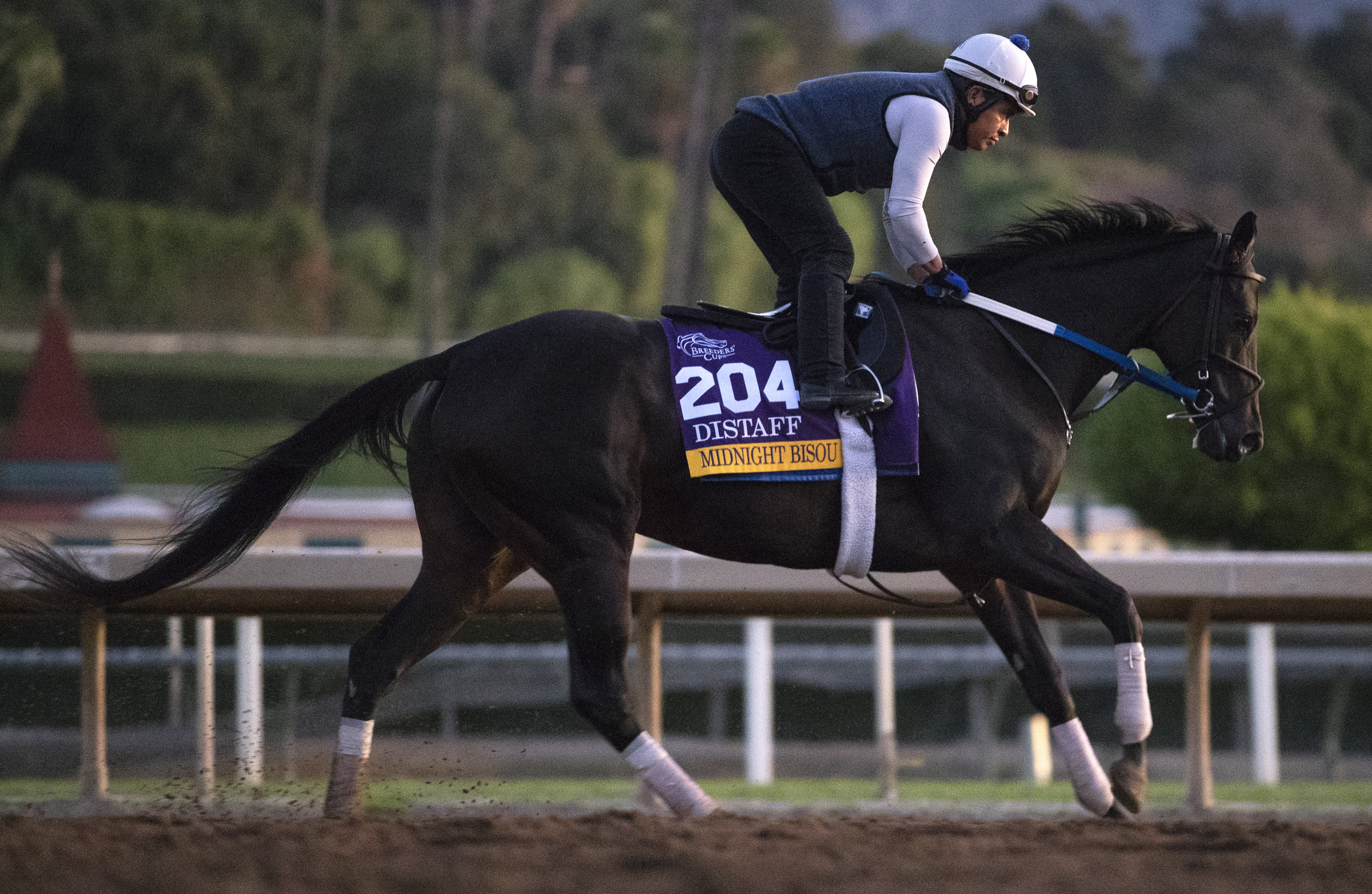 Midnight Bisou trains at Santa Anita on 10.24.19