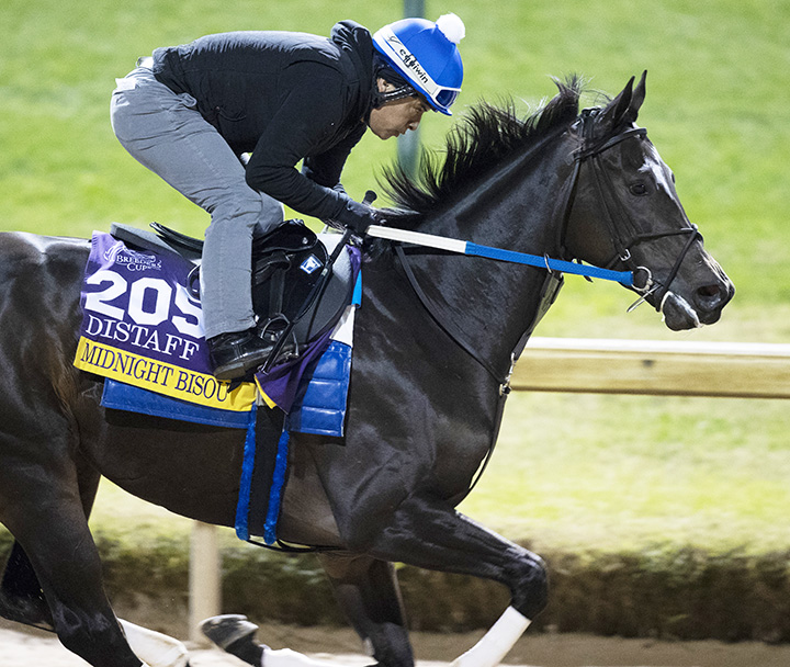 Midnight Bisou trains at Churchill Downs on 10.29.18