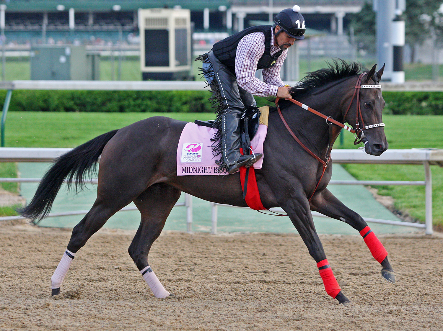 Midnight Bisou trains at Churchill on May 3