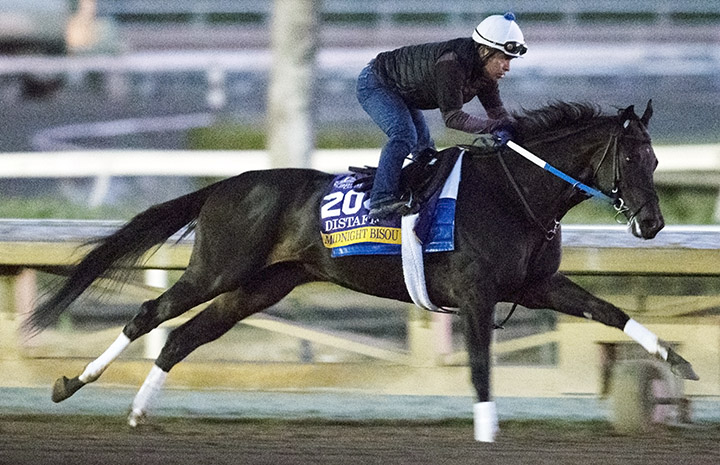 Midnight Bisou trains at Santa Anita Park on Oct. 28