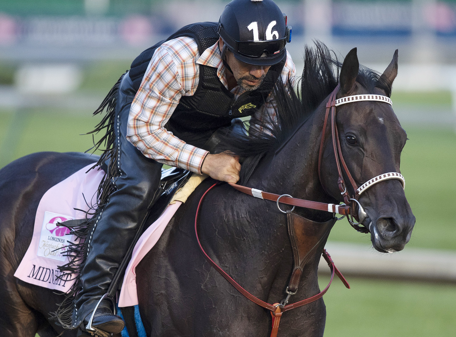 Midnight Bisou trains at Churchill on May 2