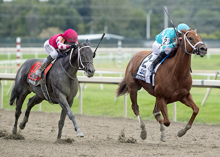 Midnight Bisou wins the 2018 Cotillion