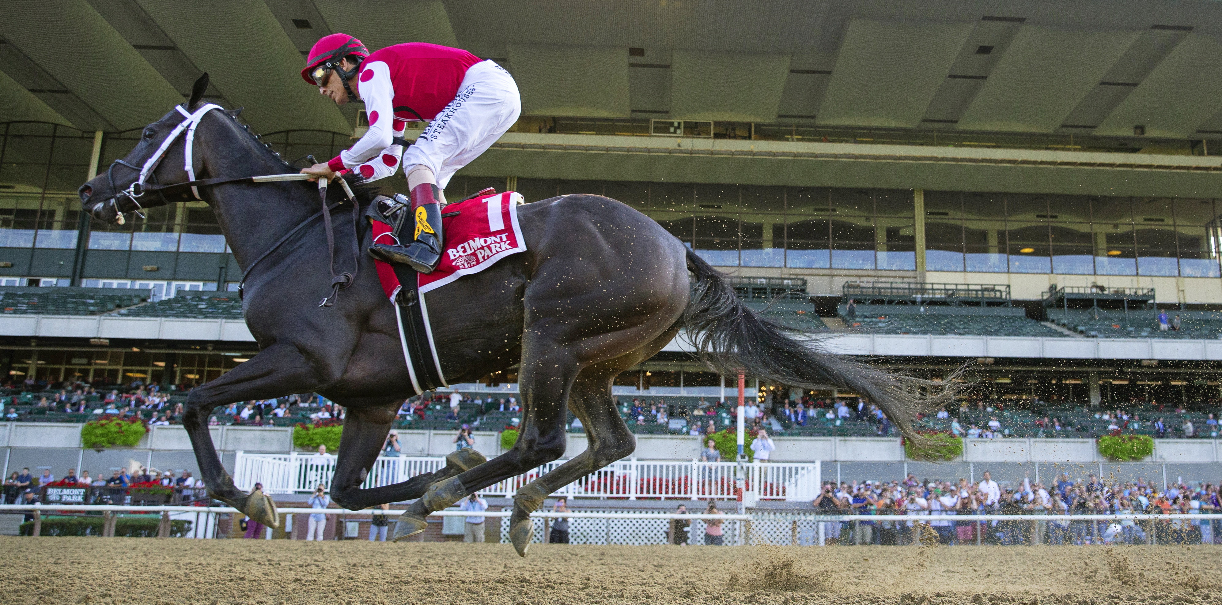 Midnight Bisou wins the 2019 Beldame