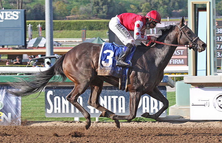 Midnight Bisou - Eclipse Awards 2018