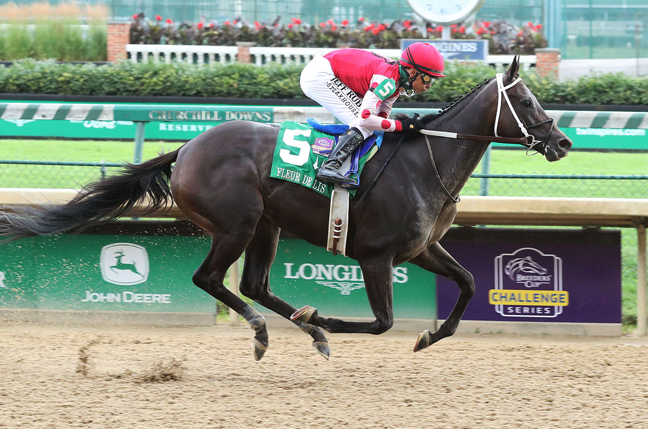 ECLIPSE older dirt female Midnight Bisou