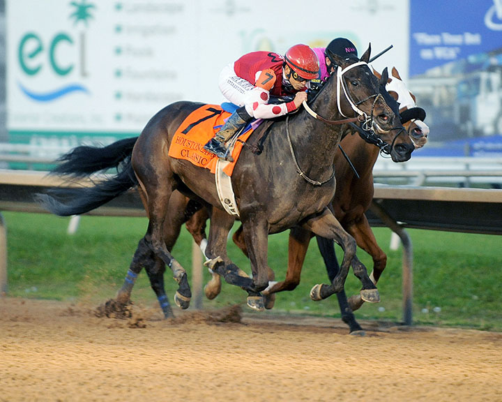 Midnight Bisou wins the 2019 Houston Ladies' Classic at Sam Houston Race Park