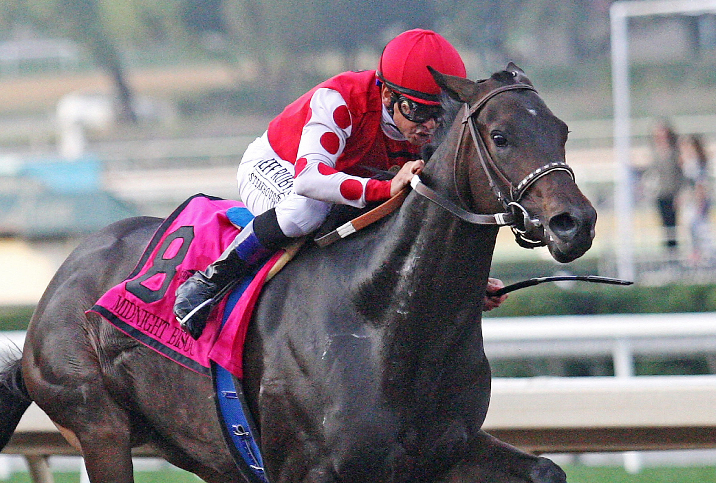 Midnight Bisou wins the 2018 Santa Ynez