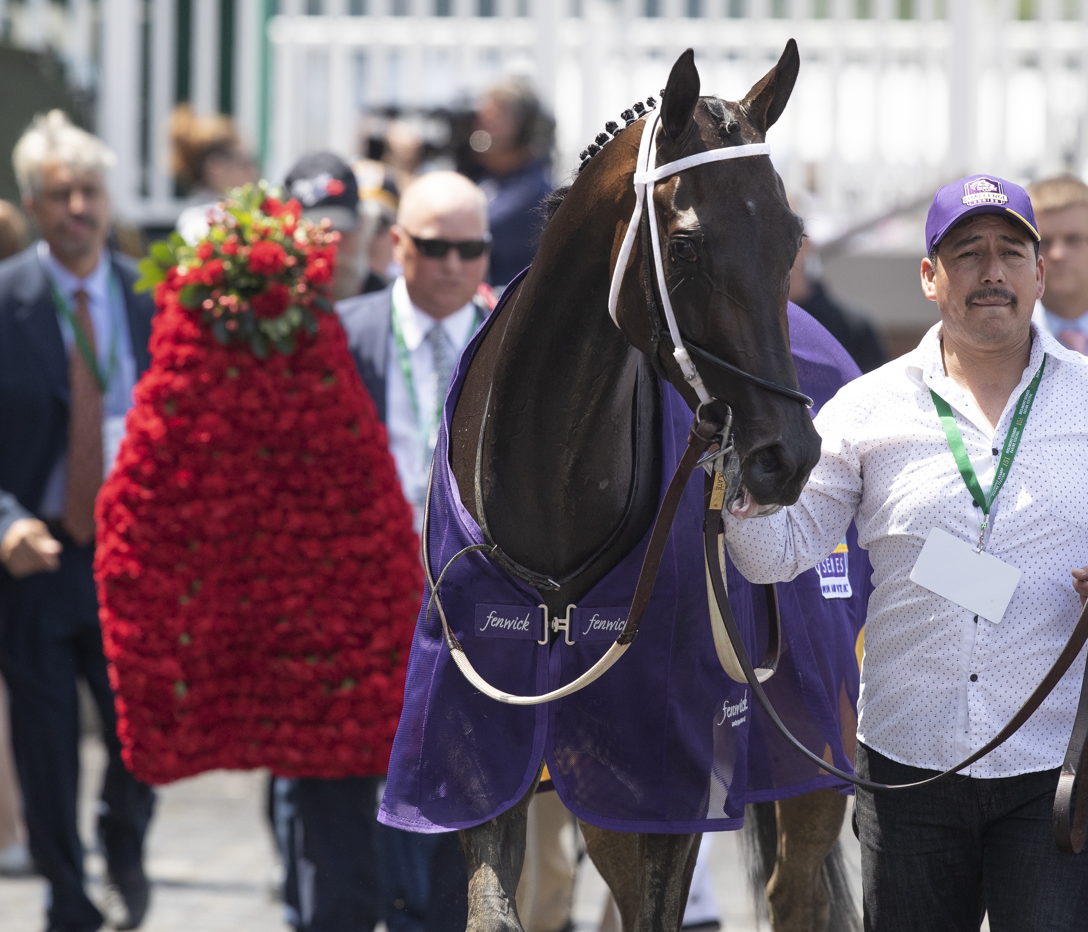 Midnight Bisou following her victory in the 2019 Ogden Phipps