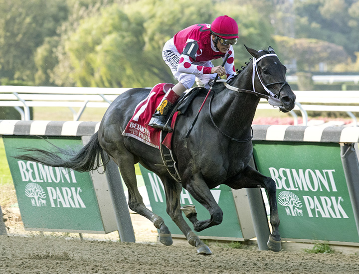 Midnight Bisou wins the 2019 Beldame Stake at Belmont Park