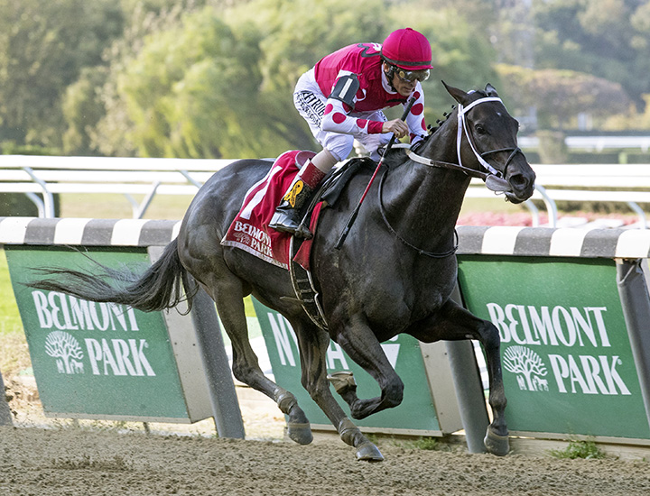 Midnight Bisou wins the 2019 Beldame Stake at Belmont Park