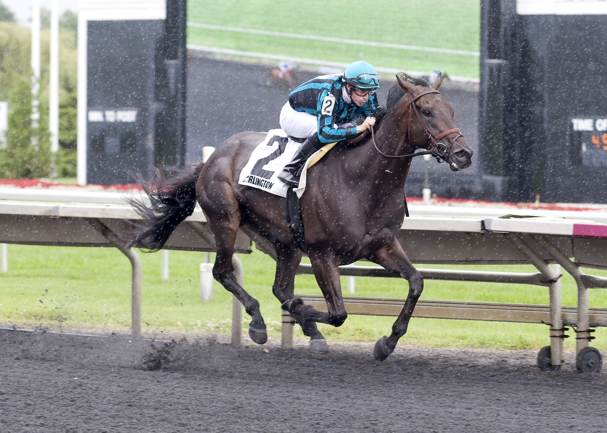 Midnight Cello wins the Hanshin Cup