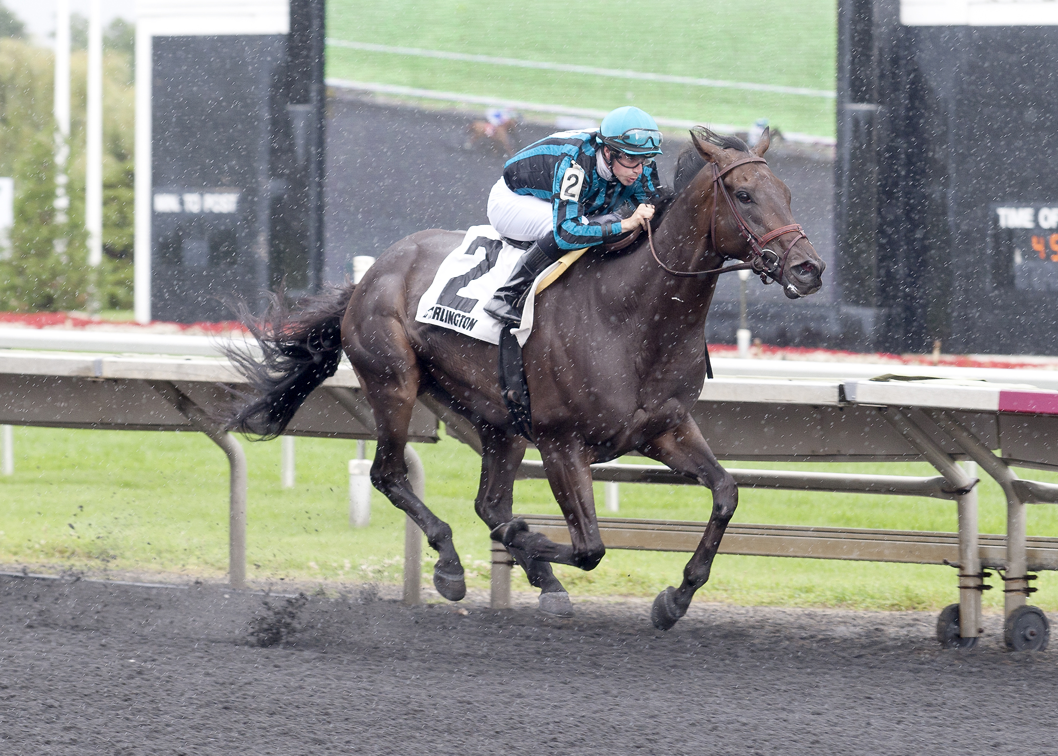 Midnight Cello wins the 2015 Hanshin Cup