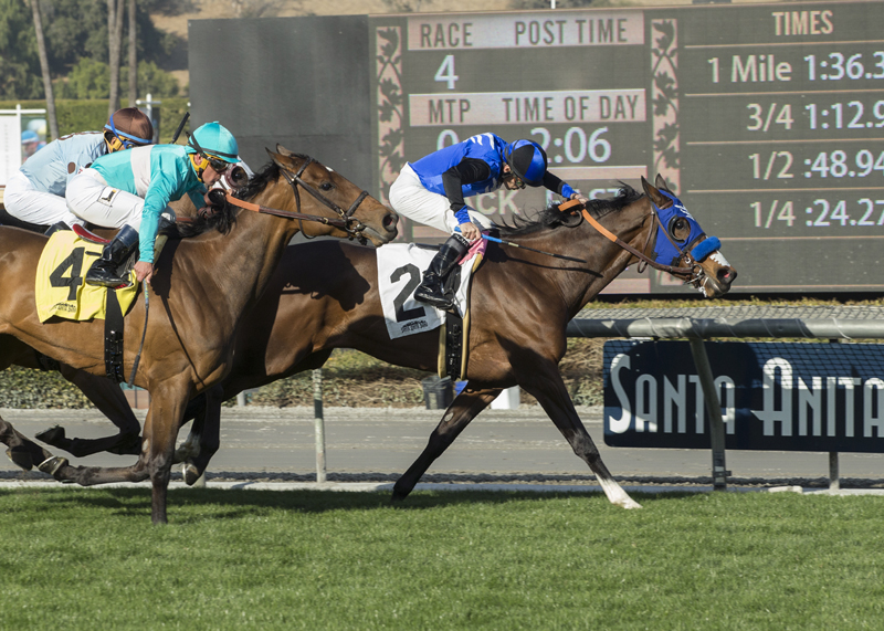 Midnight Crossing wins 2017 Frankel Stakes