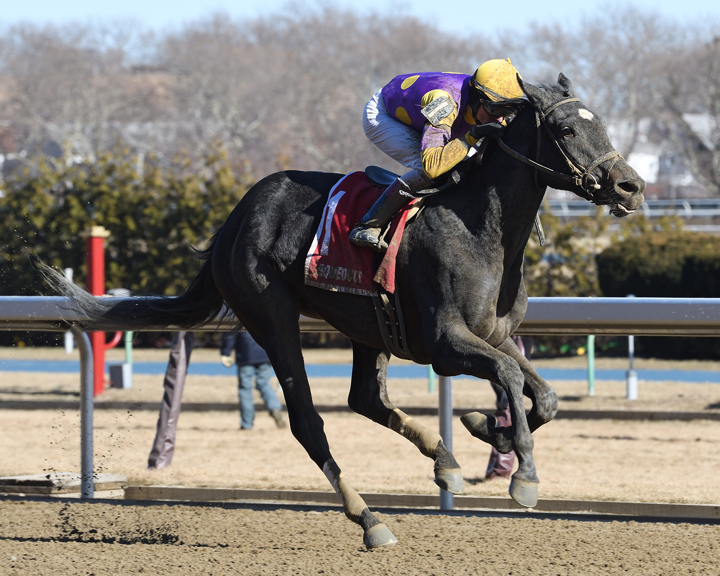 Midnight Disguise wins the 2018 Busanda