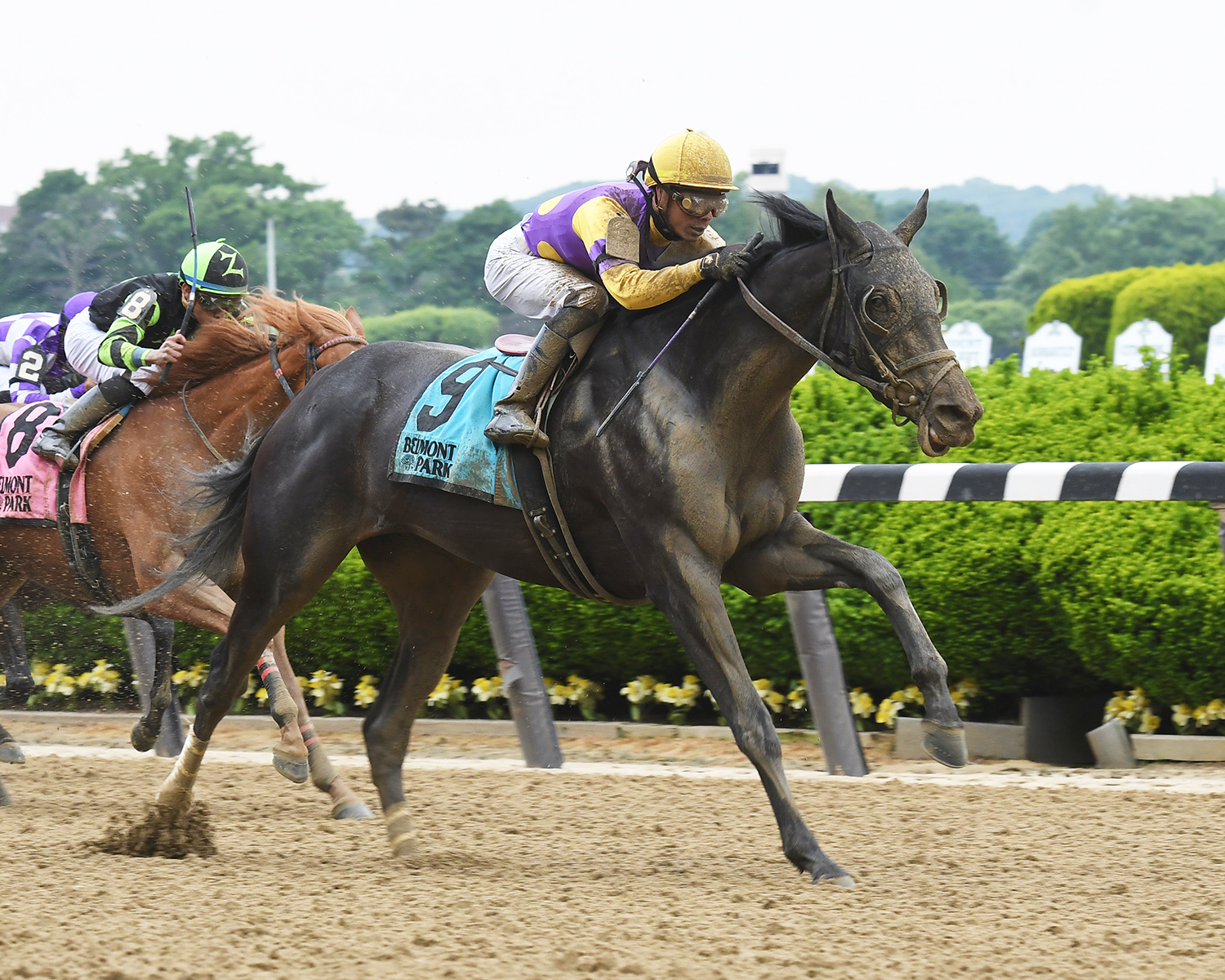 Midnight Disguise wins the Bouwerie Stakes