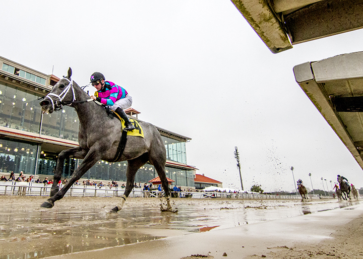 Midnight Fantasy wins the 2018 Louisiana Futurity Fillies Division at Fair Grounds