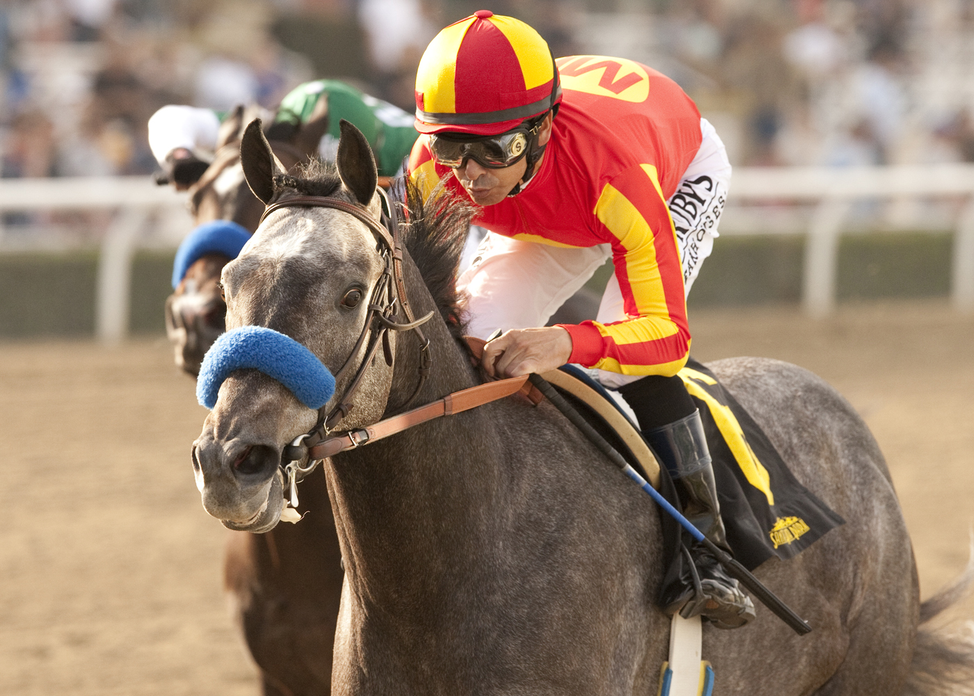 Midnight Hawk wins the Sham