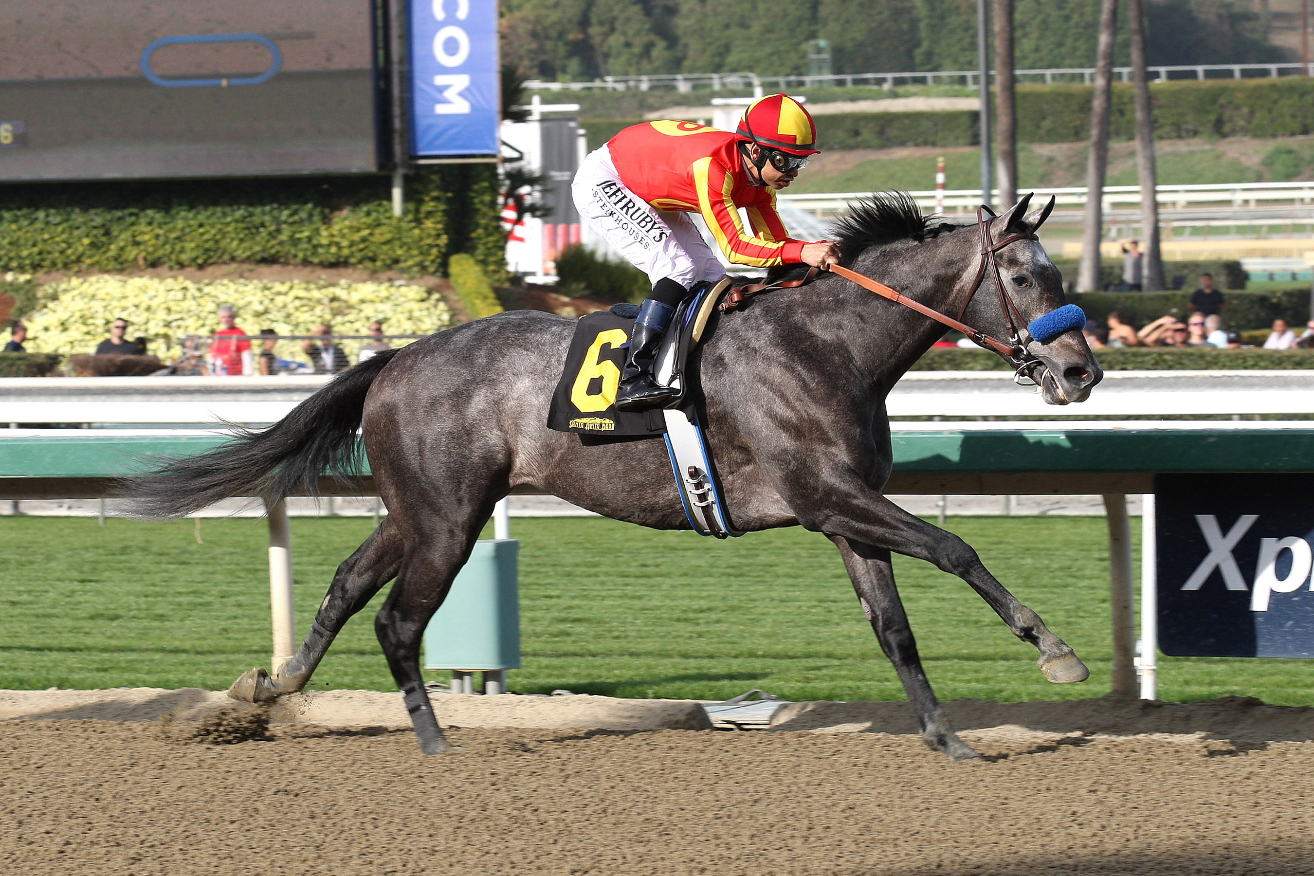 Midnight Hawk wins the Sham