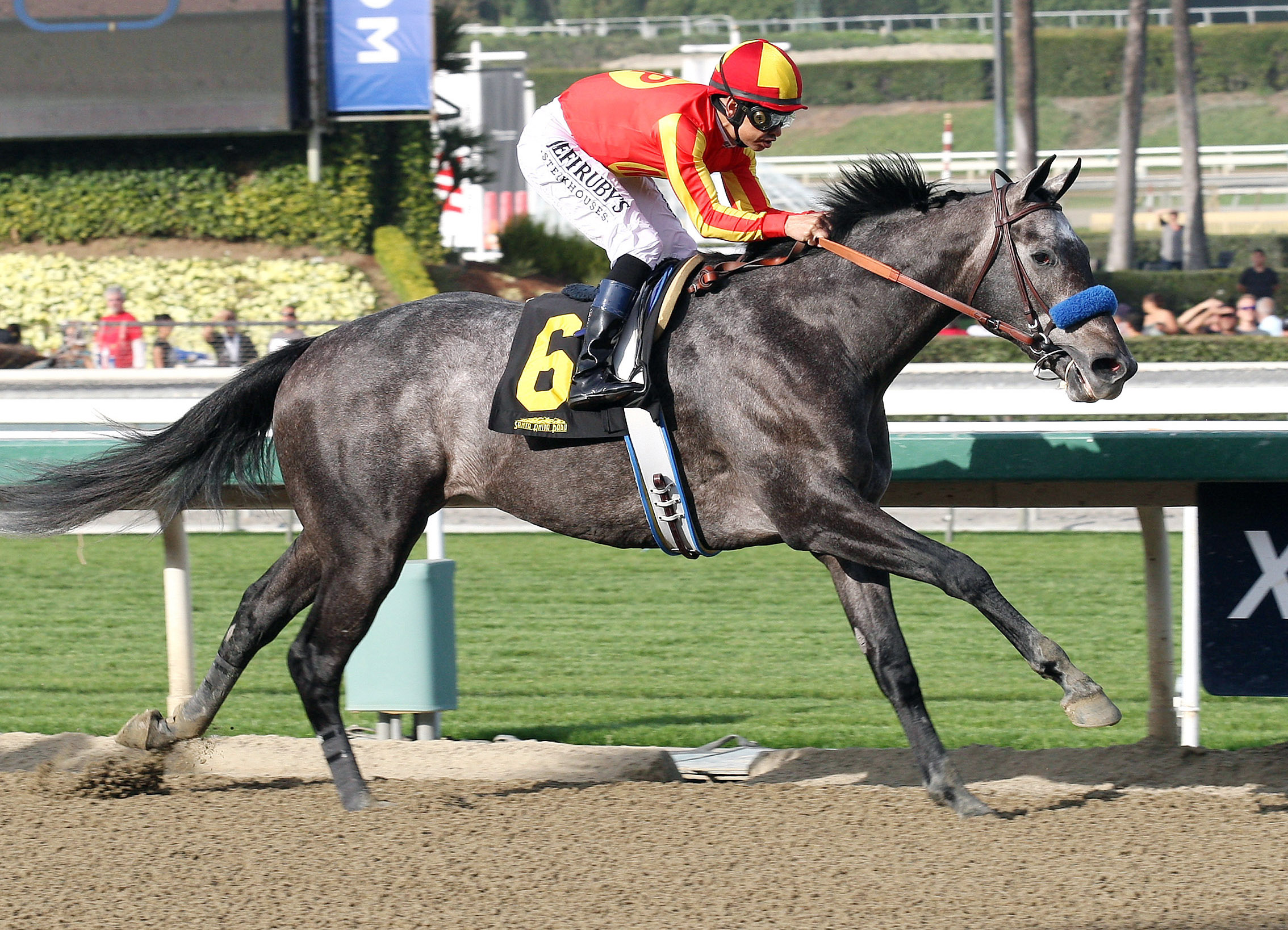 Midnight Hawk wins the Sham