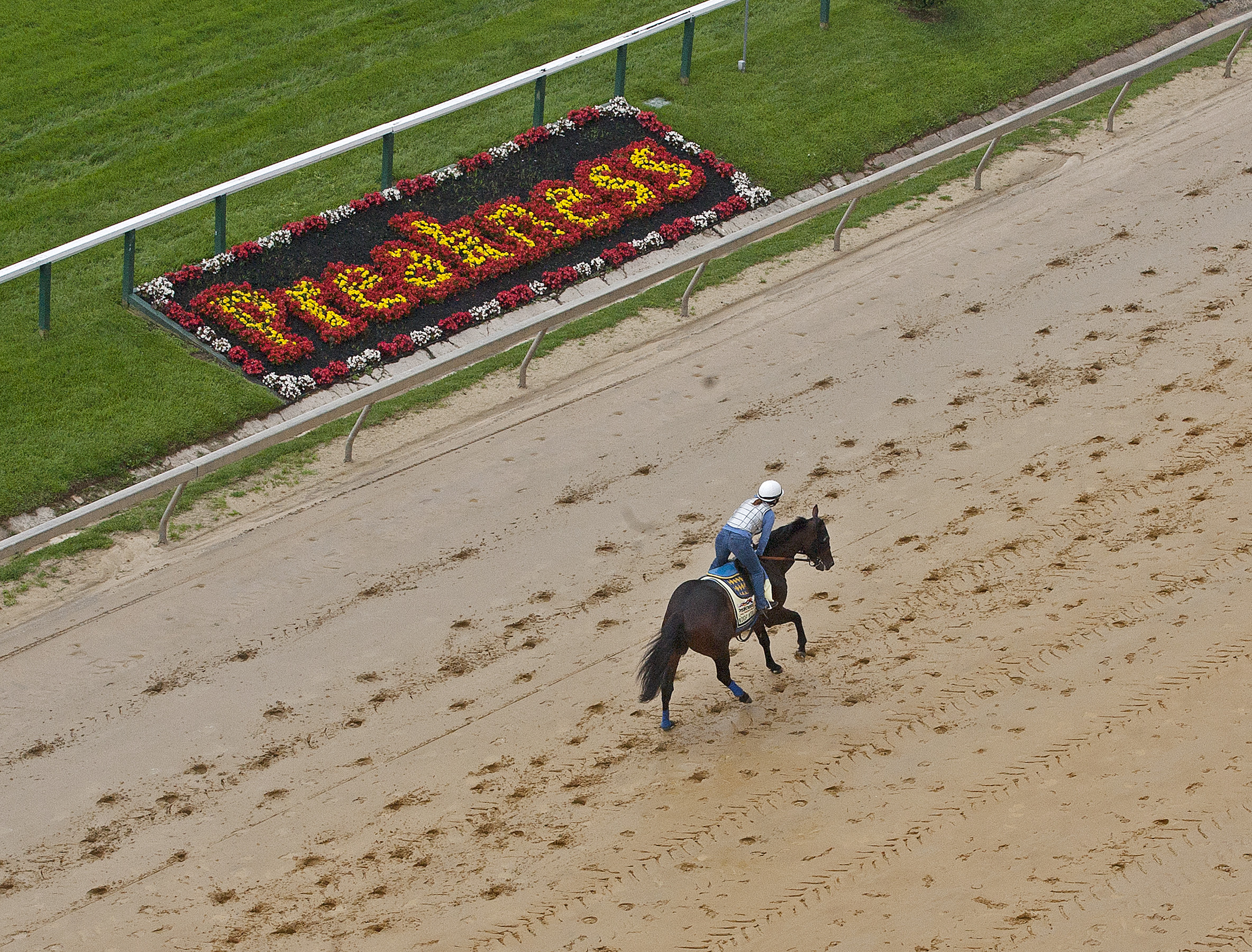 Midnight Interlude trains at Pimlico