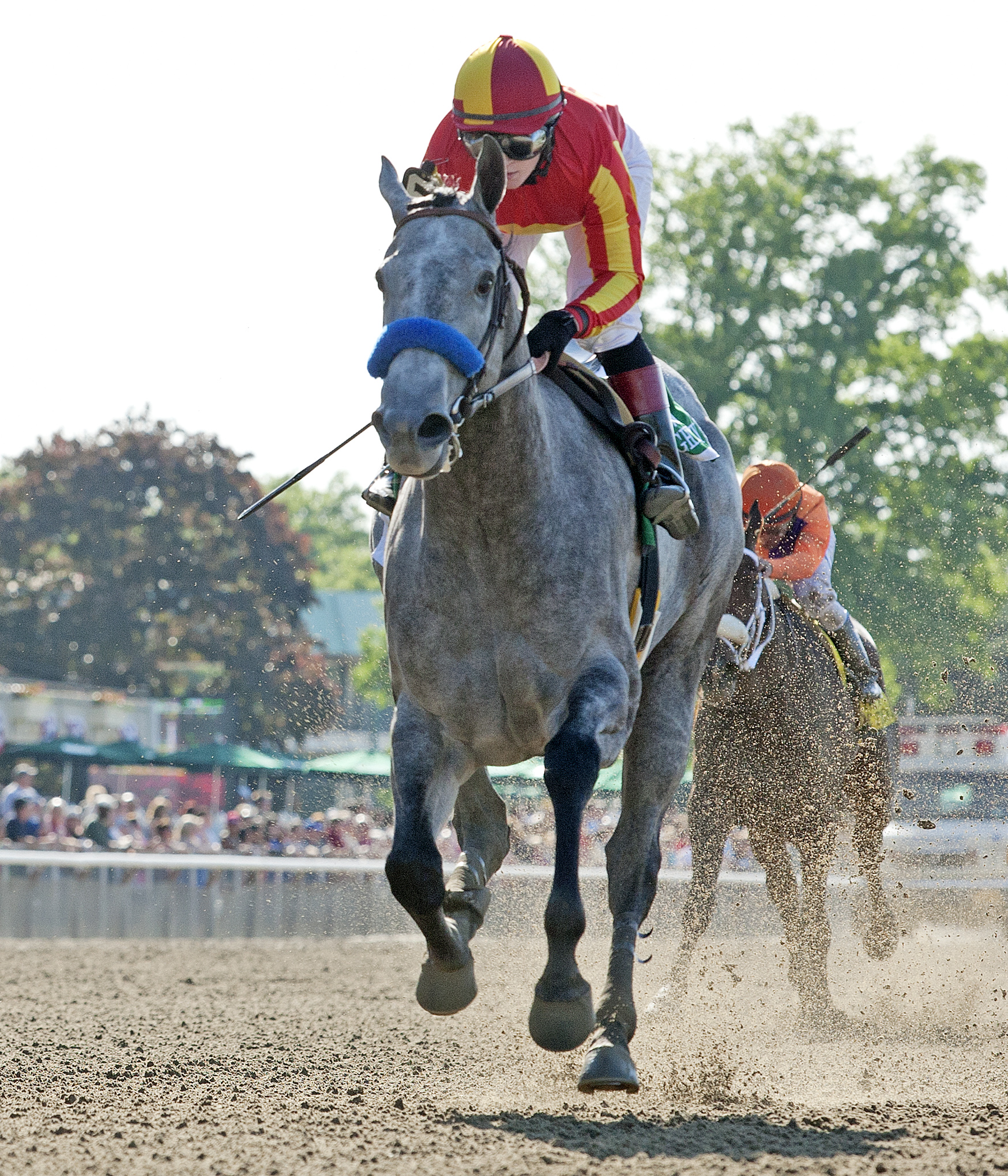 Midnight Lucky/Acorn