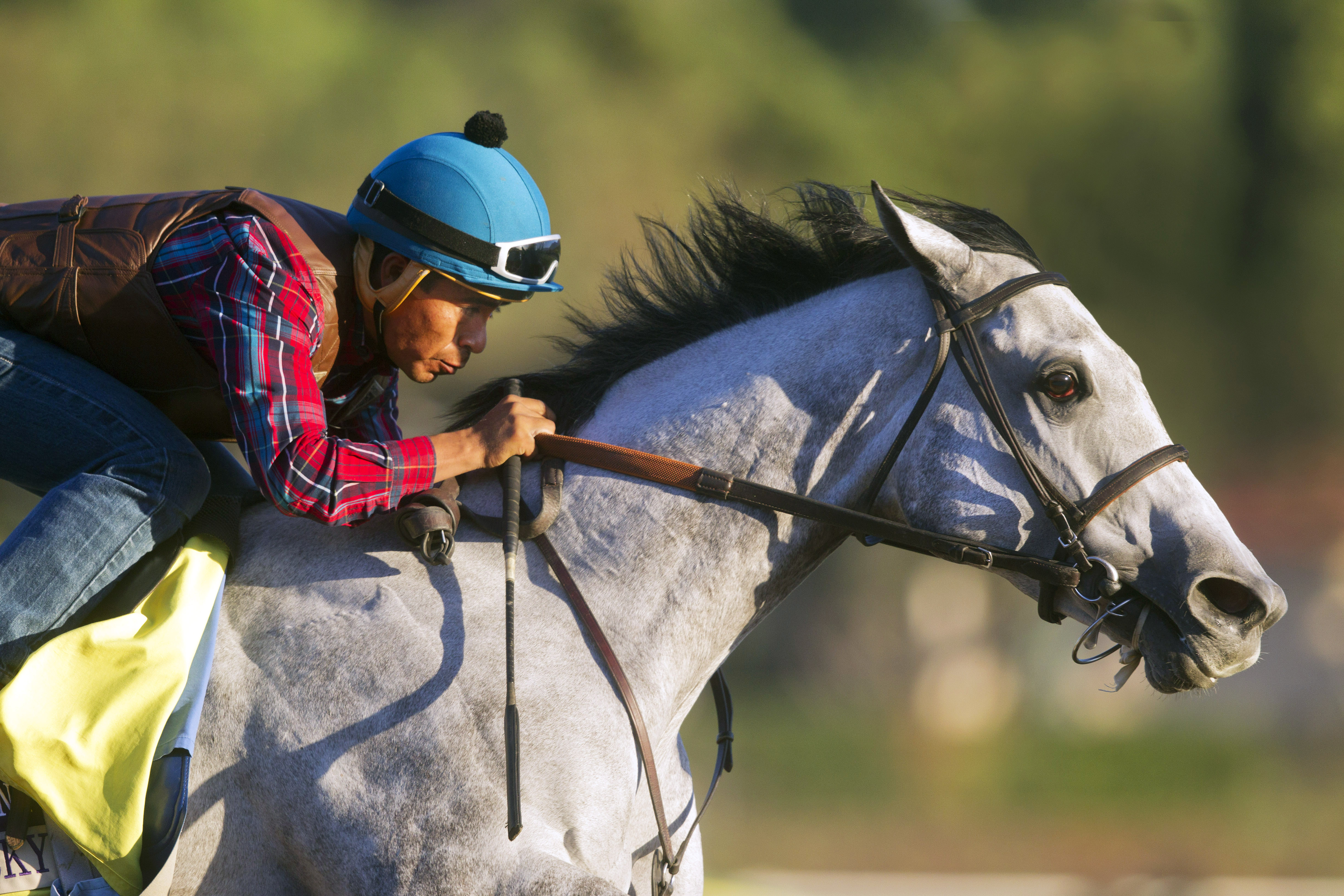 Midinight Lucky works at Santa Anita on Oct. 24