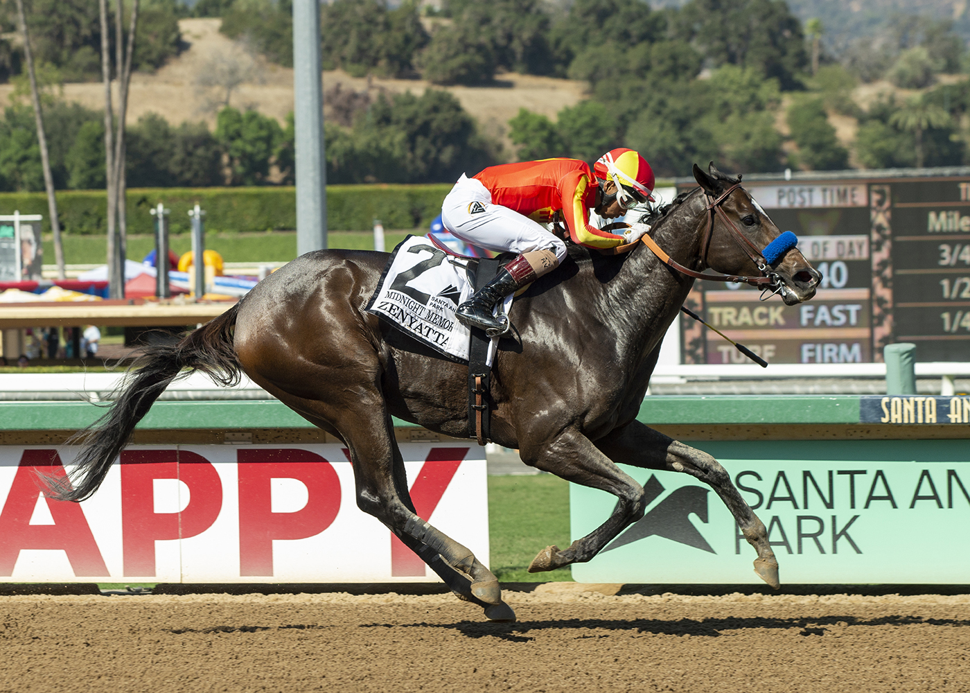 Midnight Memories - Zenyatta S. 2022