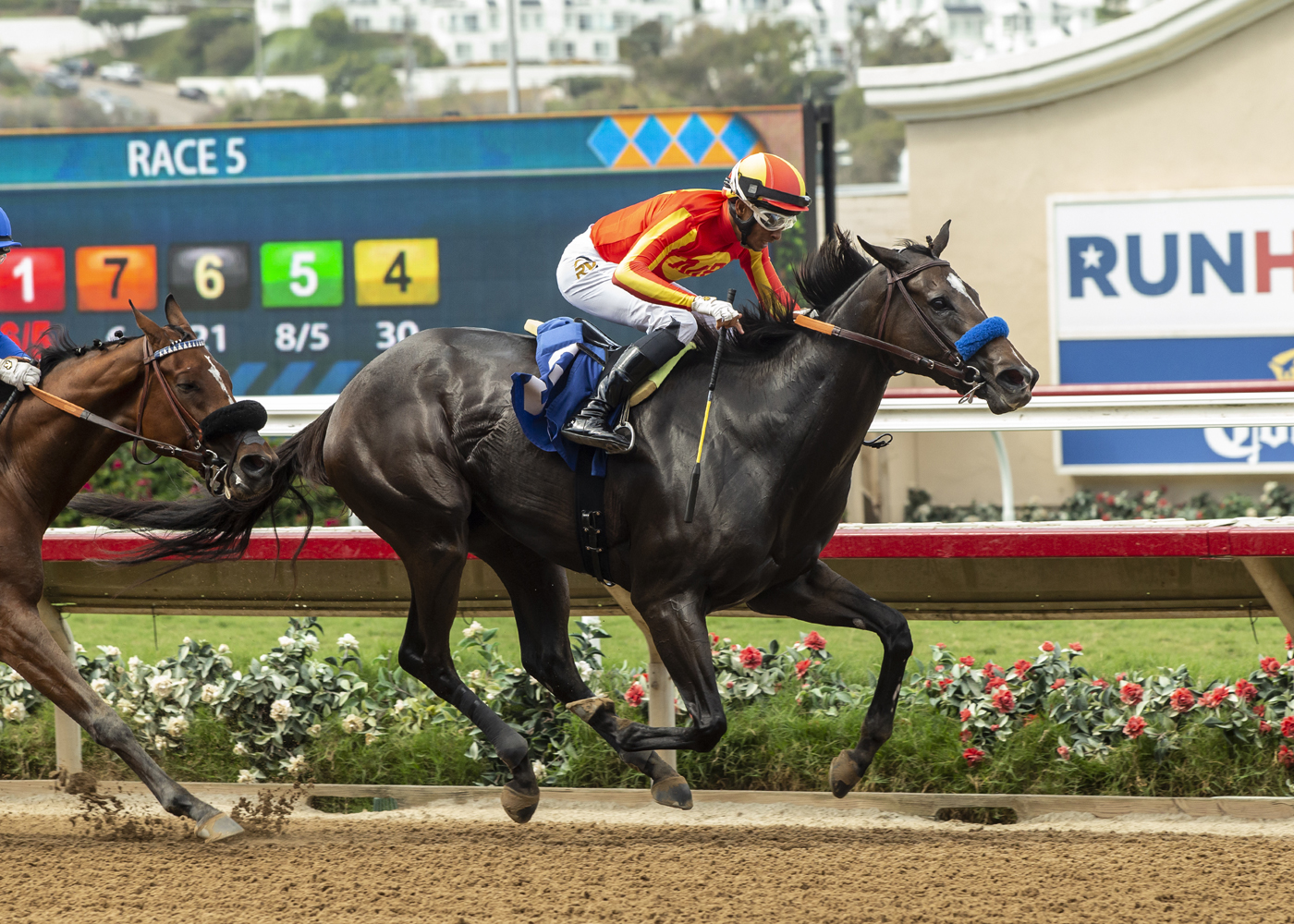 Midnight Memories wins Torrey Pines 9-4-2022