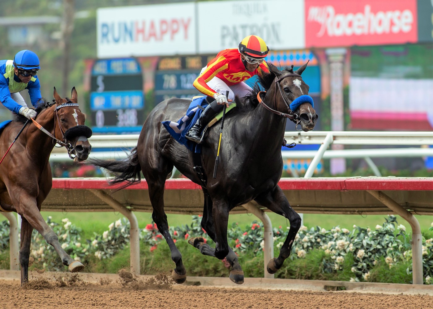 Midnight Memories wins the Torrey Pines at Del Mar Sept 4 2022