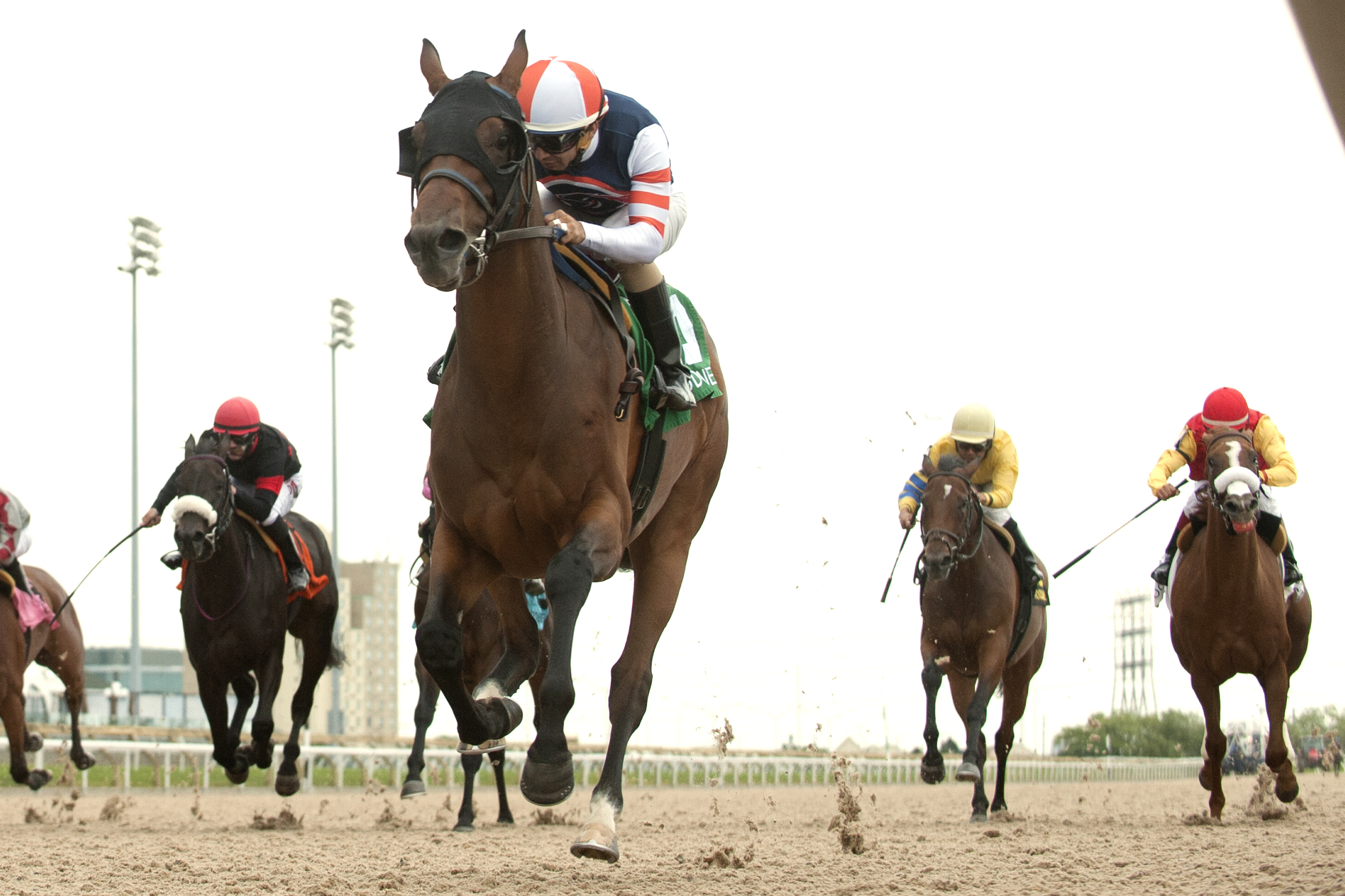 Midnight Miley wins the Ontario Matron