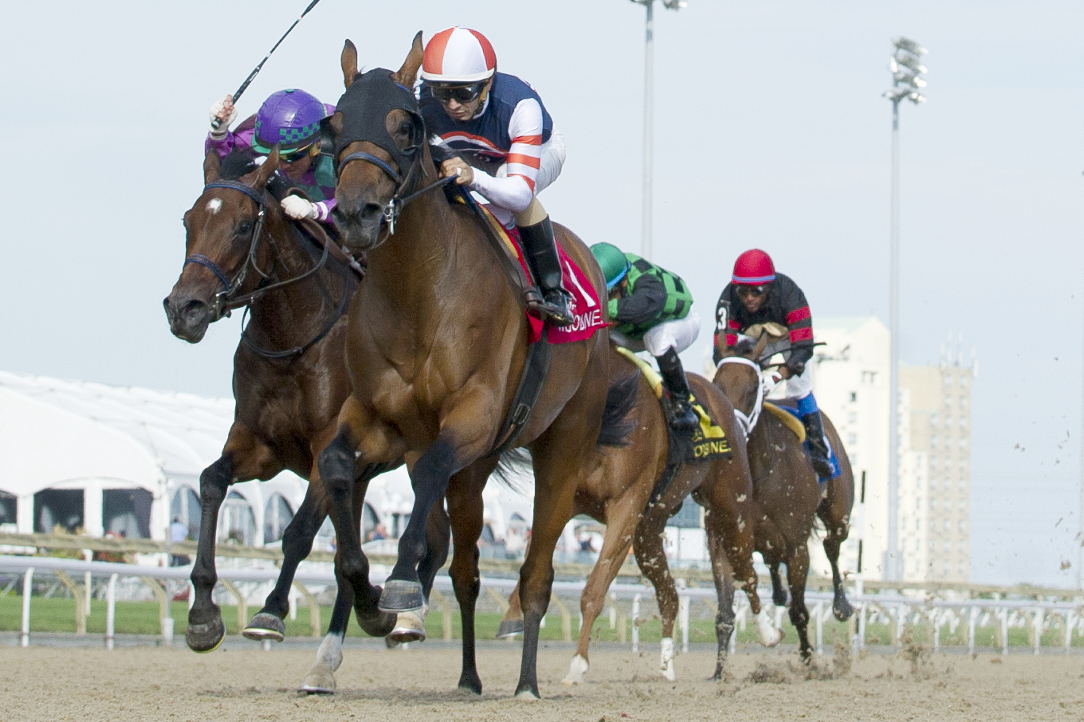 Midnight Miley wins the Seaway Stakes