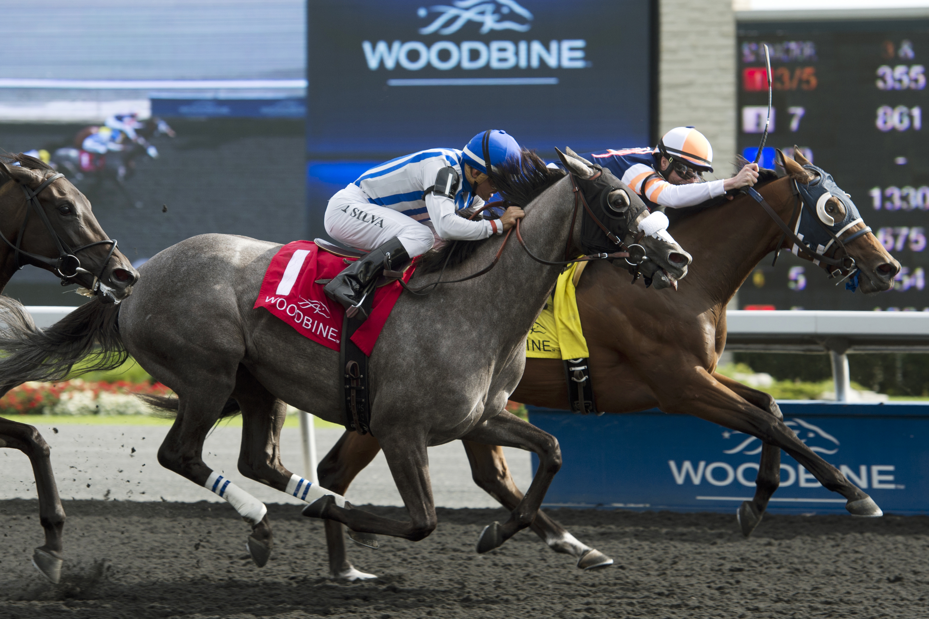 Midnight Miley wins the La Lorgnette